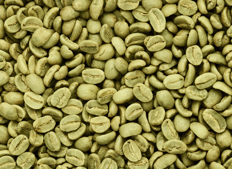 Feeding green coffee beans to roasting